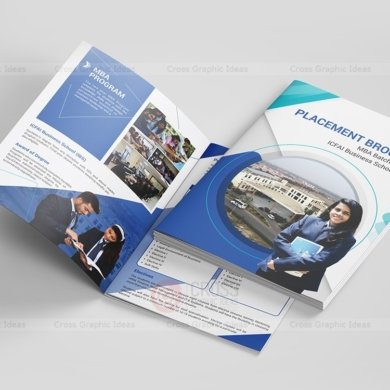 IBS-Placement-Brochure11