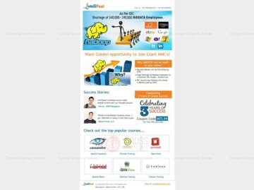 NtelliPaat-email-campaing