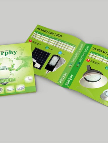 Top 100 Brochure Designers in Jaipur