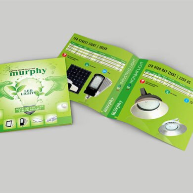 Top 100 Brochure Designers in Jaipur