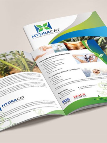 brochure design company in India
