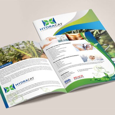 brochure design company in India